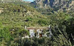 Betania